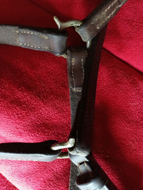 Polo bridle, martingale, breastplate and draw reins., Carolyn Thow, Trensen, Alvarado, Abbildung 5