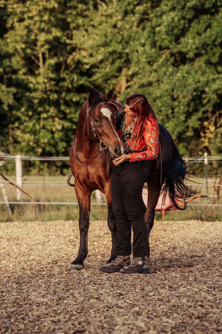 Praktikumsstelle im Pferdesektor, Erlangen-Höchsatdt, Strong Together Horsetraining UG, Verena + Janina, Stellenangebote, Gremsdorf, Abbildung 4