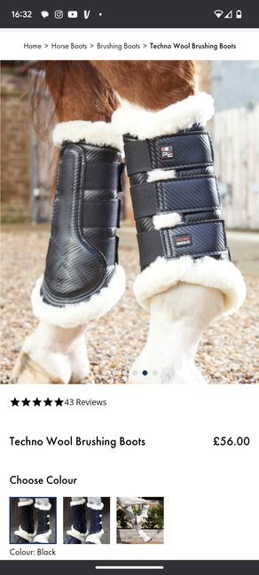 Premier Equine techno wool brushing boots, Premier Equine , Gemma, Other, Driffield, Image 5