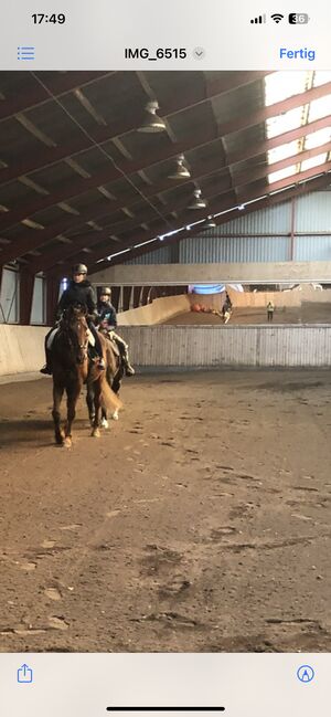 Reiten … mal anders ! Reitunterricht Therapeutisches Reiten, Luckyhorseacademy, Reitunterricht, Aabenraa, Abbildung 2