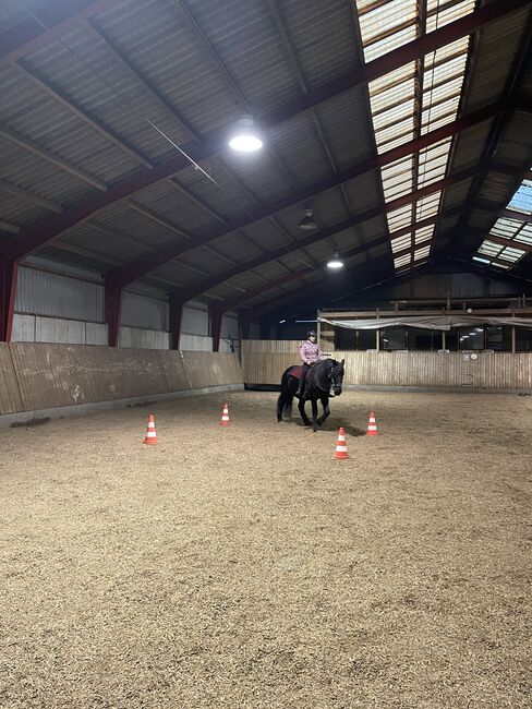 Reiten … mal anders ! Reitunterricht Therapeutisches Reiten, Luckyhorseacademy, Reitunterricht, Aabenraa, Abbildung 4