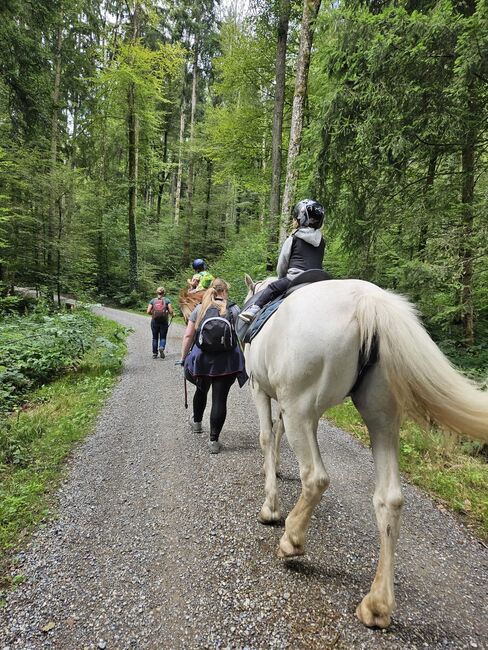 Reitlager für Kinder und Jugendliche, Andrea Züger, Reiturlaub, Ebmatingen, Abbildung 2