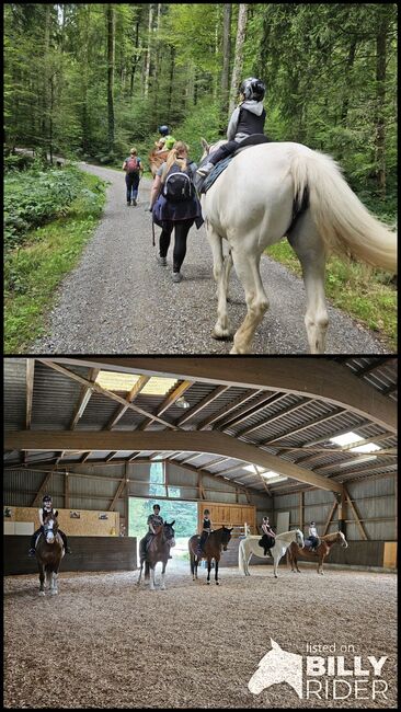 Reitlager für Kinder und Jugendliche, Andrea Züger, Reiturlaub, Ebmatingen, Abbildung 3