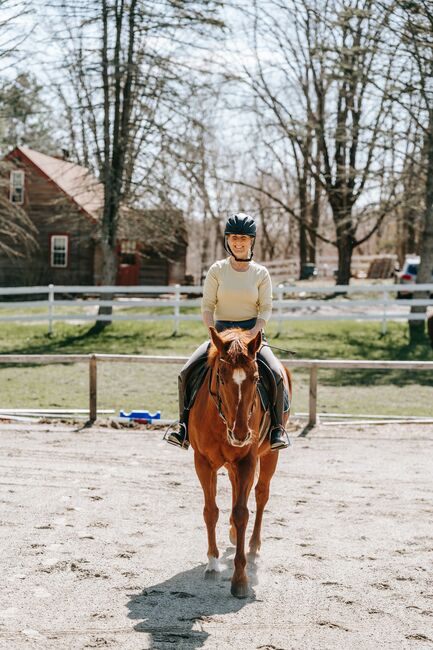 Reitunterricht, Stieger Nadine (StiegerGut), Riding Lessons, Haiming