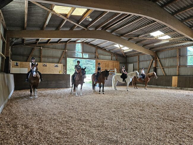 Reitlager für Kinder und Jugendliche, Andrea Züger, Riding Holidays, Ebmatingen