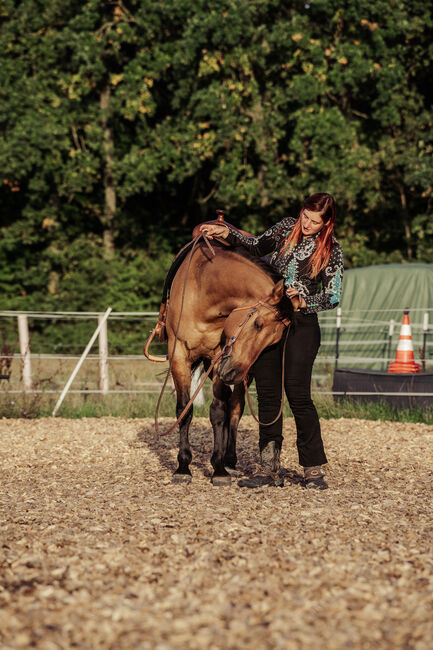 Reitkurse/Bodenarbeitskurse bei Ihnen auf dem Betrieb, Erlangen-Höchsatdt, Strong Together Horsetraining UG, Verena + Janina, Courses & Seminars, Gremsdorf, Image 2