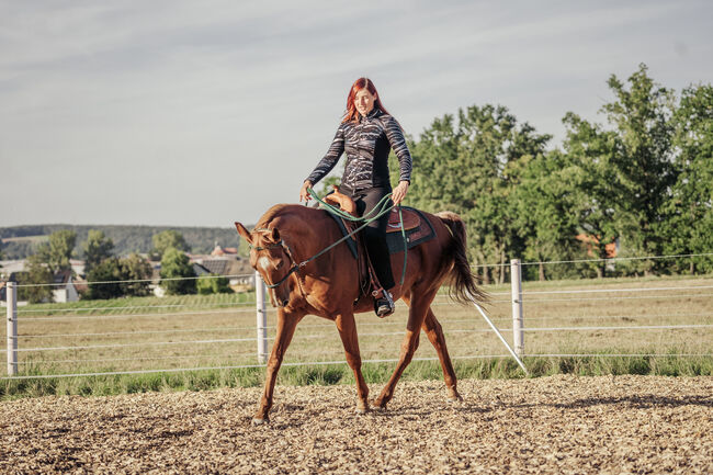 Reitkurse/Bodenarbeitskurse bei Ihnen auf dem Betrieb, Erlangen-Höchsatdt, Strong Together Horsetraining UG, Verena + Janina, Courses & Seminars, Gremsdorf