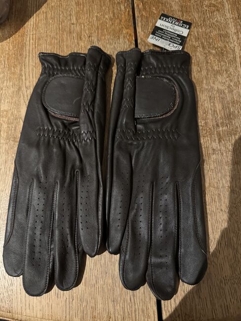 Reithandschuh 9 dunkelbraun Leder neu mit Etikett, Schwenkel, Mariella, Riding Gloves, Bielefeld