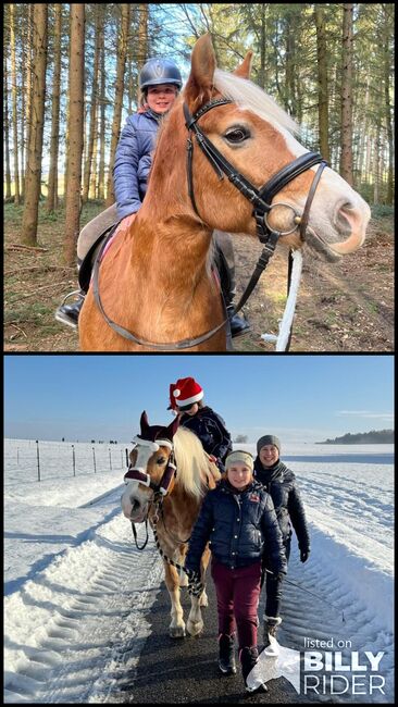 Reitstunden für Kinder, Steffi Tonhauser, Riding Lessons, Weichs, Image 3