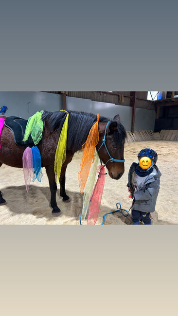 Reittherapie für Körper und Geist, Kim Schäfer , Riding Lessons, Melsungen 