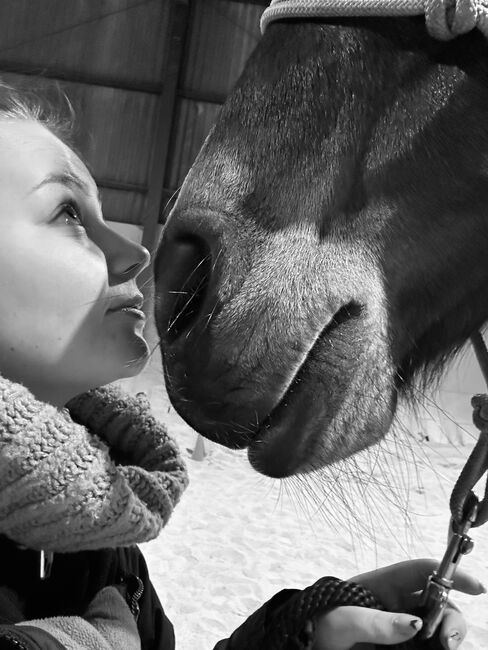 Reittherapie für Körper und Geist, Kim Schäfer , Riding Lessons, Melsungen , Image 4