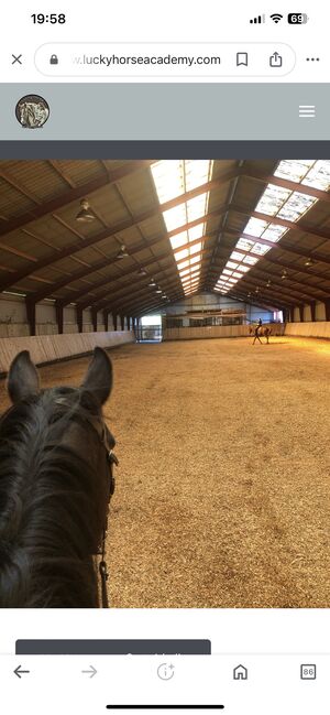 Reiten … mal anders ! Reitunterricht Therapeutisches Reiten, Luckyhorseacademy, Riding Lessons, Aabenraa, Image 7