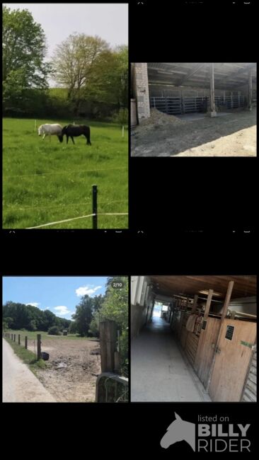 Stallplätze frei Vollpension, Fabi, Horse Stables, Eßweiler, Image 10