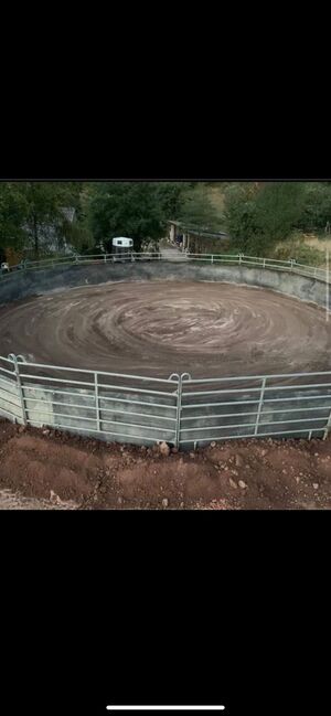 Stallplätze frei Vollpension, Fabi, Horse Stables, Eßweiler, Image 7