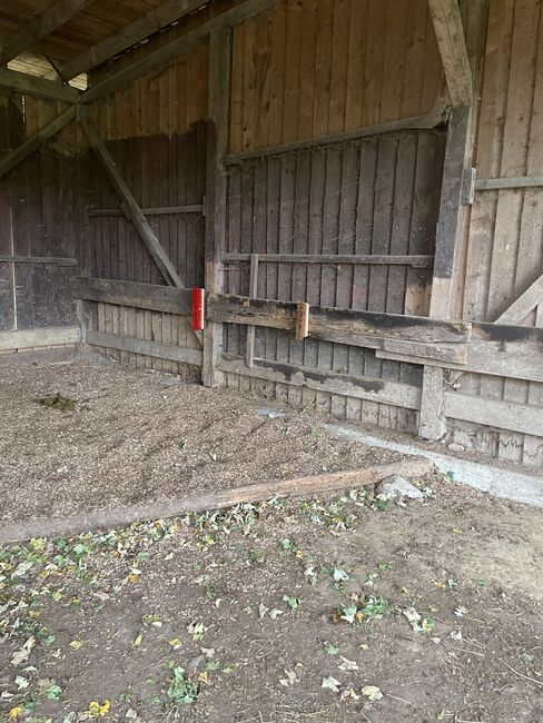 Stallplatz, Außenbox mit Paddock, Außenbox mit Paddock, Sandra und Sven Balzereit , Stallplätze, Bonn, Abbildung 4