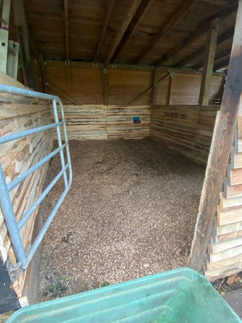 Stallplatz, Außenbox mit Paddock, Außenbox mit Paddock, Sandra und Sven Balzereit , Stallplätze, Bonn, Abbildung 6