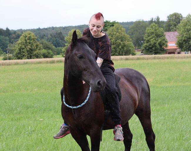 Tolles Freizeit Pony sucht Bestplatz, Sandro, Pferd kaufen, Pfullendorf , Abbildung 7