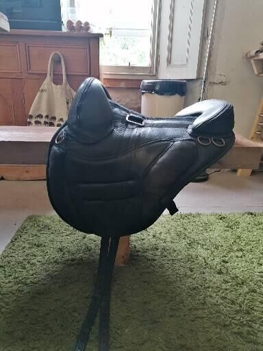 Torsion Treeless Saddle 18'', Torsion, Antonia Sumner, Baumloser Sattel, Hawixk, Abbildung 9