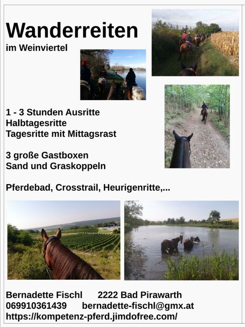 Wanderreiten im Weinviertel, Bernadette, Riding Holidays, Bad Pirawarth