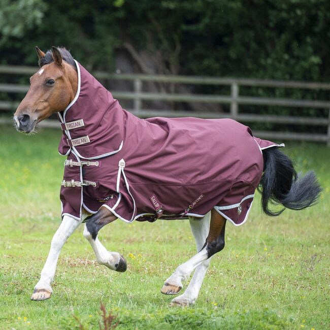 trojan gallop 100gm combo turnout sizes 5'9  6'0 6'9  7'0, gallop trojan  xtra 100gm , kathy meaney, Pferdedecken, Ledbury