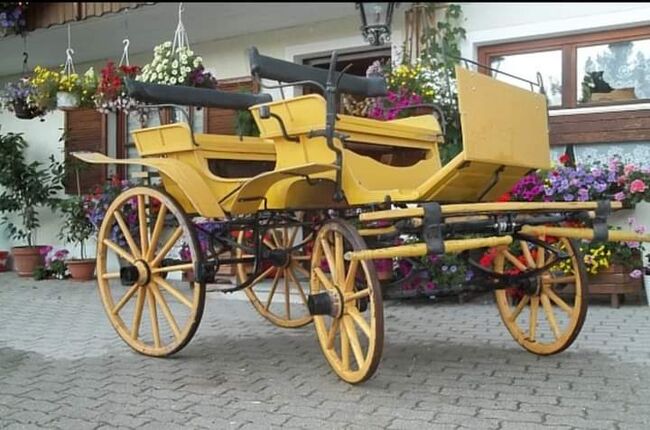 Ungarischer Jagdwagen, Gottfried Zenz , Kutschen, Mühlen