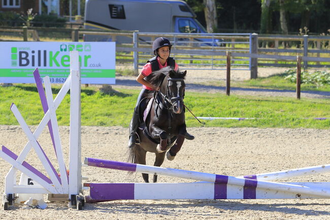 Welsh sec A, Donna Robb, Horses For Sale, Horley, Image 2