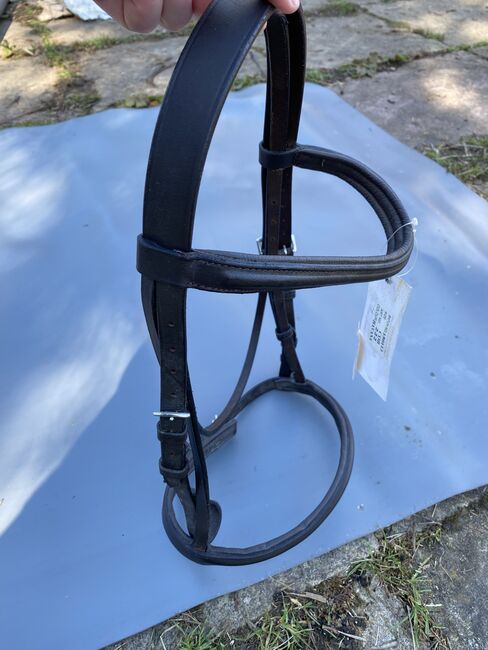 Windsor cob bridle, Windsor, Zoe Chipp, Bitless Bridles, Weymouth, Image 3