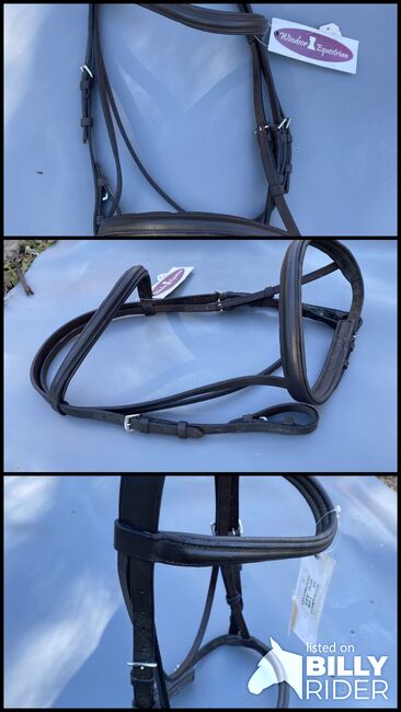 Windsor cob bridle, Windsor, Zoe Chipp, Bitless Bridles, Weymouth, Image 4