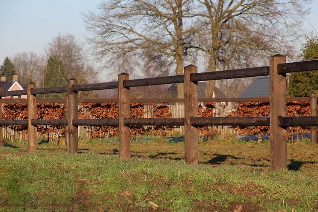 Holzzaun | Weidezaun | Gartenzaun | Zaun Holz, Rutjes Pferdenboxen und Zäume, Riding Arena, Goor, Image 2