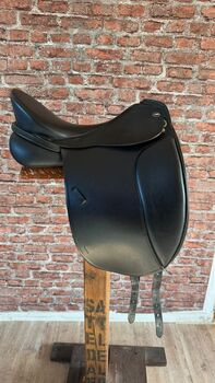 057 Hemano Dressur Champion Hemano Dressur Champion 1