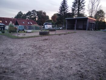 1 Offenstallplatz frei