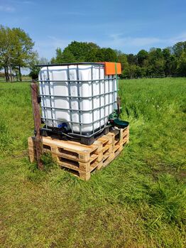 1000ltr. IBC-Fass mit Tränke, Marion , Horse Shelters & Tents, Dorsten