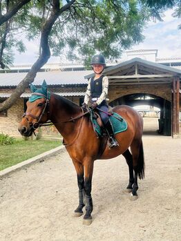 10Year Old School Master  Pony, Tamsin, Horses For Sale, Magaliesburg 
