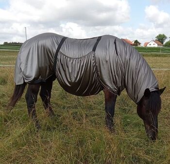 110€% BTS Ekzemerdecke XXXL Kaltblut 175cm 185cm silbergrau, BTS Bywater  Ekzemerdecke für Kaltblüter, Reitartikelbörse (Reitartikelbörse - Onlineshop für Wanderreiter), Horse Blankets, Sheets & Coolers, Grevenbroich