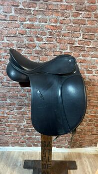 1164 Passier Young Star 15,5 Passier Young Star