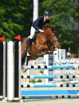 12-jährige Tschechische Warmblut Stute zu verkaufen, Petra Fronko, Konie na sprzedaż, Kittsee