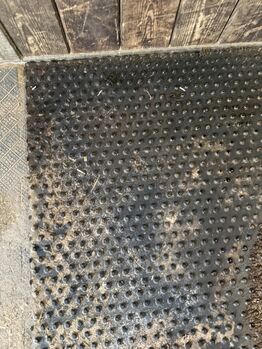 12 Robuste Stallmatten/Boxenmatten 1x1 m, Katrin Schmid, Horse & Stable Mats, Freudenau 555