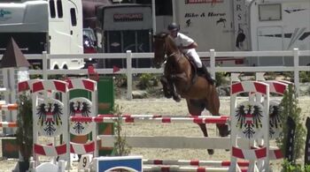 13 jährige Stute aus eigener Zucht, Mario, Horses For Sale, Kirchbach