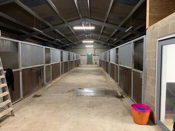 14 monarch stable fronts, Monarch Imperial range , Cheryl, Wolna stajnia, Newcastle upon Tyne 