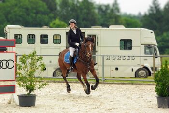 14 Jähriger Allrounder - ca. 1,56, Lilli Wagner, Horses For Sale, Balingen 