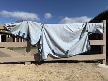 140cm Horseware Amigo Ripstop Hoody Fliegendecke Ekzemerdecke, Horseware  Amigo Ripstop Hoody , Jana , Horse Blankets, Sheets & Coolers, Hechthausen 