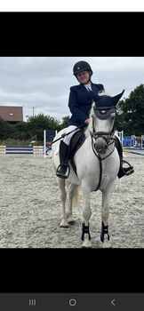 14'1 beautiful connemara pony, Carly, Pferd kaufen, East sussex