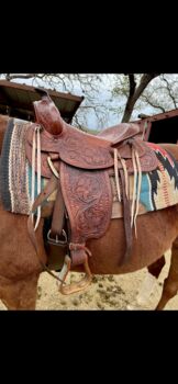 15’ Pleasure Saddle, Andrea Herrera, Western Saddle, San Antonio 