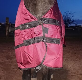 1680D Highneck Regen 135 145 155 165 Winterdecke 50g weinrot 5000mm BTS Bywater International Clothing 1680D Highneck Thermodecke mit 50g