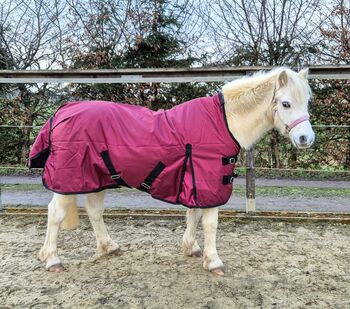 1680D Highneck Regendecke Pony 115 125 Winterdecke 50g weinrot 5000mm, BTS Bywater International Clothing 1680D Highneck Regendecke Pony mit 50g blau, Reitartikelbörse (Reitartikelbörse - Onlineshop für Wanderreiter), Horse Blankets, Sheets & Coolers, Grevenbroich