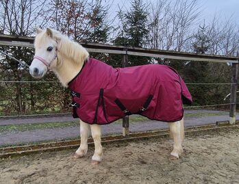 1680D Highneck Regendecke Pony 115 125 Winterdecke 50g weinrot 5000mm BTS Bywater International Clothing 1680D Highneck Regendecke Pony mit 50g blau