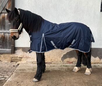 1680D KALTBLUT 50g Winter Regendecke blau 145 155 165 185cm Outdoordecke 5000mm, BTS Bywater International Clothing 1680D Kaltblut Winter Regendecke mit 50g blau, Reitartikelbörse (Reitartikelbörse - Onlineshop für Wanderreiter), Horse Blankets, Sheets & Coolers, Grevenbroich