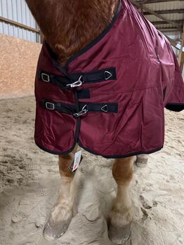 1680D KALTBLUT 50g Winter Regendecke weinrot 165 175 185cm Outdoordecke 5000mm BTS Bywater International Clothing 1680D Kaltblut Winter Regendecke mit 50g weinrot