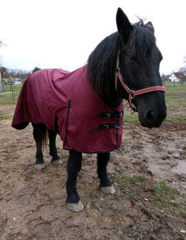 1680D KALTBLUT 50g Winter Regendecke weinrot 165 175 185cm Outdoordecke 5000mm BTS Bywater International Clothing 1680D Kaltblut Winter Regendecke mit 50g weinrot