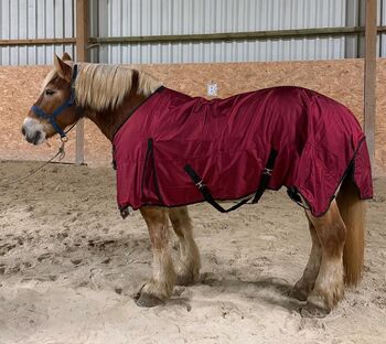 1680D XXXL +18cm mehr Brustweite Kaltblut Winter Regendecke 100g blau ziegelrot 5000mm, BTS Bywater International Clothing 1680D XXXL +18cm mehr Brustweite Kaltblut 185 Winter Regendecke 100g blau ziegelrot, Reitartikelbörse (Reitartikelbörse - Onlineshop für Wanderreiter), Pferdedecken, Grevenbroich